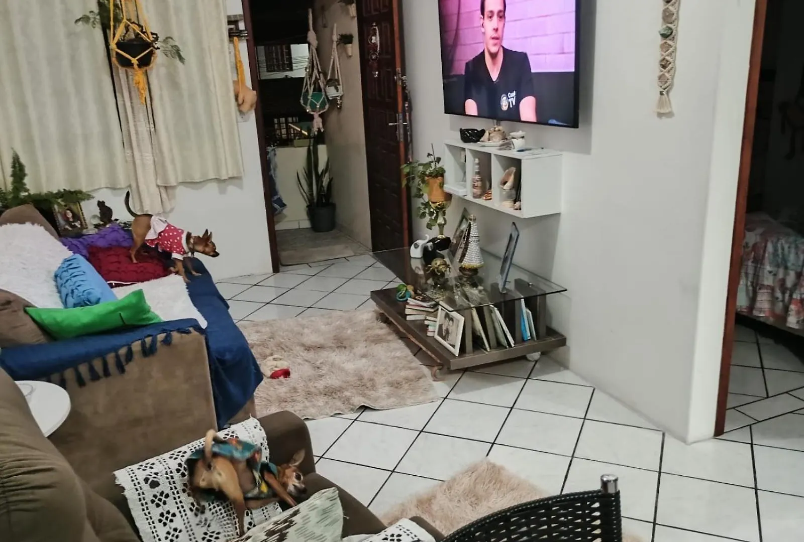 Homestay Quarto Privado Em Casa Compartilhada Florianopolis