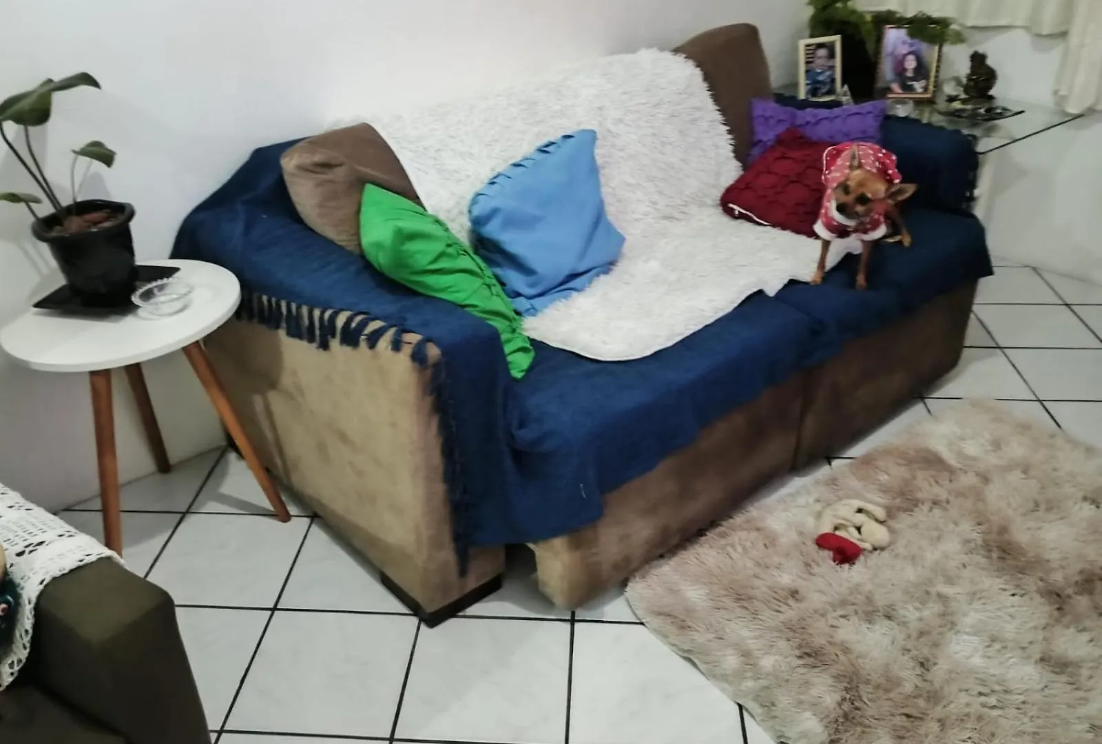 Quarto Privado Em Casa Compartilhada Florianopolis 0*,