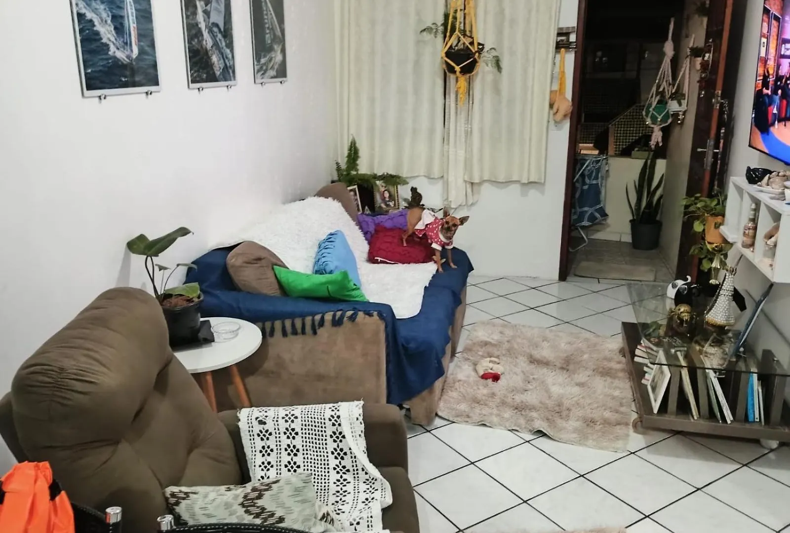 Homestay Quarto Privado Em Casa Compartilhada Florianopolis Brazil